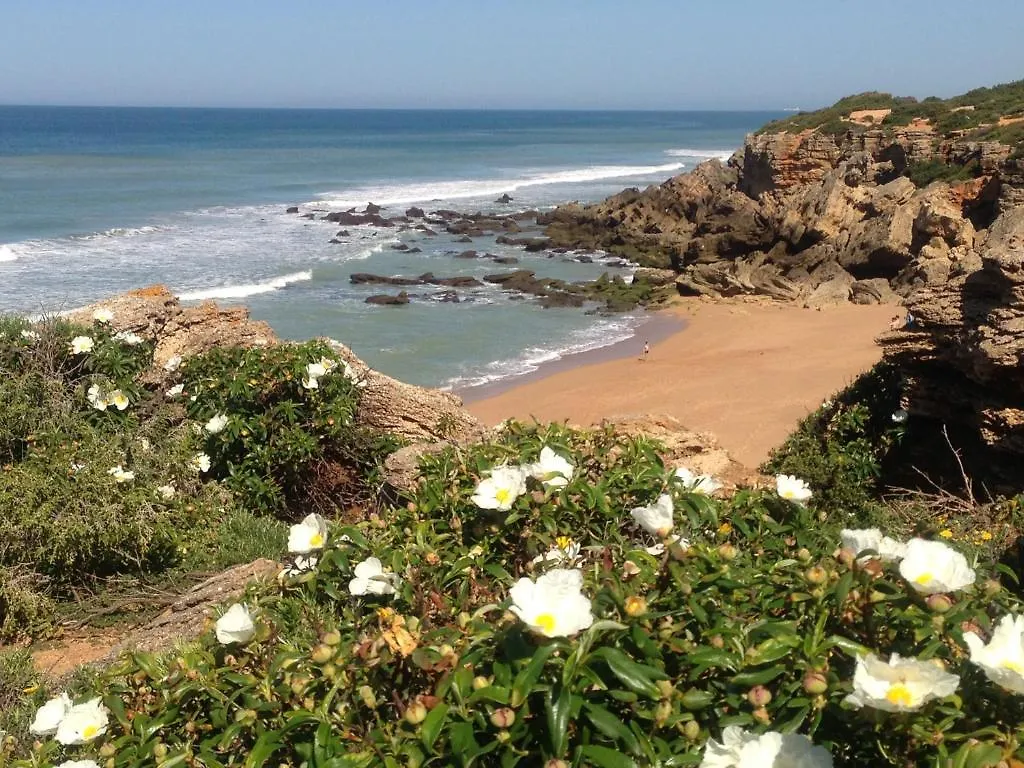 Glamping -Bungalows El Faro Conil De La Frontera